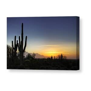 Postcard Perfect Arizona Canvas Print / Canvas Art by Saija Lehtonen