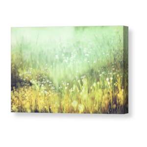 Wide Open Spaces Canvas Print / Canvas Art by Amy Tyler