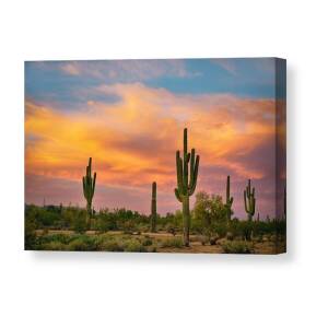 Lightning Storm Saguaro Fine Art BW Photography Canvas Print / Canvas ...