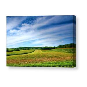 Field of Dreams One Canvas Print / Canvas Art by Steven Ainsworth