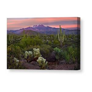Peralta Arizona Sunset Canvas Print / Canvas Art by Dave Dilli