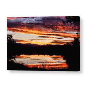 Colorful Tropical Palm Tree Sunset Canvas Print / Canvas Art by James ...