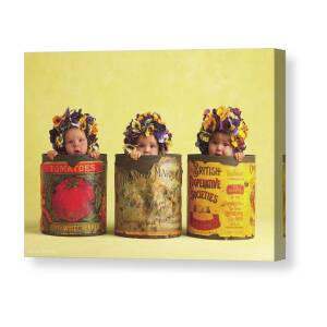 Pansy Tins Canvas Print by Anne Geddes