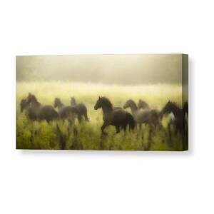 Ebony and Ivory Canvas Print / Canvas Art by Ron McGinnis