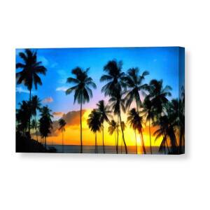 Colorful Sunset Canvas Print / Canvas Art by Richard Wallace