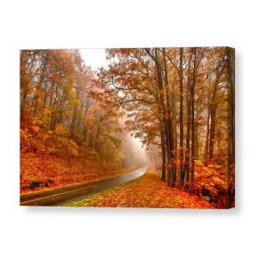 Fall Sunrise Cranberry Glades West Virginia I Canvas Print / Canvas Art ...