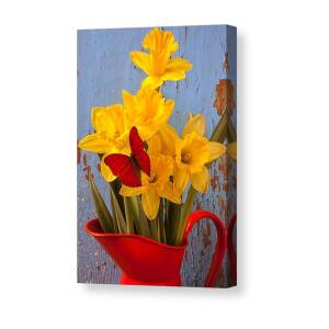 Daffodil And Violin Canvas Print / Canvas Art by Garry Gay