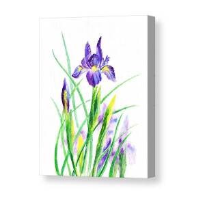 Iris Flower Dancing Petals Canvas Print / Canvas Art by Irina Sztukowski