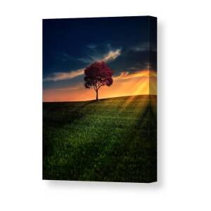 Awesome Solitude Canvas Print by Bess Hamiti Awesome Solitude Canvas Print by Bess Hamiti
