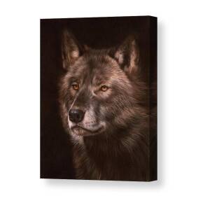 Grey Wolf Painting Canvas Print / Canvas Art by David Stribbling