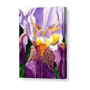 Lilac Canvas Print / Canvas Art by Catherine G McElroy