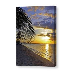 Puerto Rico Collage 2 Canvas Print / Canvas Art by Stephen Anderson