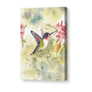 Hummingbird #1 Canvas Print by Sam Sidders