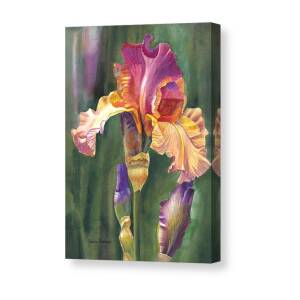 Purple and White Tulips Canvas Print / Canvas Art by Sharon Freeman