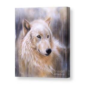 Black Wolf Canvas Print / Canvas Art by Sandi Baker