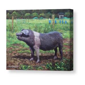 Young Pig Birthday Party Canvas Print / Canvas Art by Martin Davey