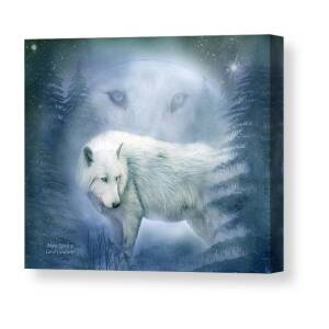 Wolf Mountain Canvas Print / Canvas Art by Carol Cavalaris