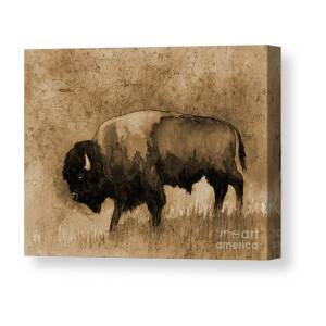 American Buffalo III Canvas Print / Canvas Art by Hailey E Herrera