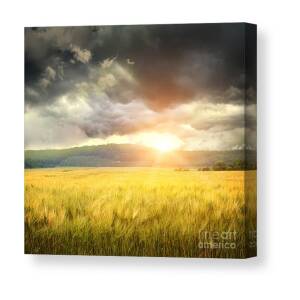Field of freshly bales of hay with beautiful sunset Canvas Print ...