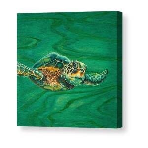 Hilahila Shy Sea Turtle Canvas Print / Canvas Art by Emily Brantley