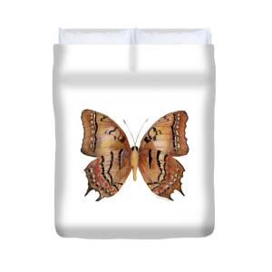 86 Archonias Butterfly Duvet Cover for Sale by Amy Kirkpatrick