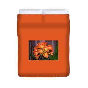 Clivia Blossoms Duvet Cover for Sale by Nancy Ayanna Wyatt