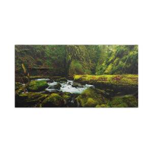 Canyon Country Bath Towel for Sale by Chad Dutson