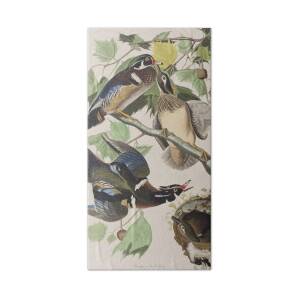 Duck Shooting Bath Towel for Sale by Henry Thomas Alken