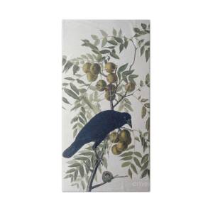 The Goldfinch Hand Towel for Sale by Carel Fabritius