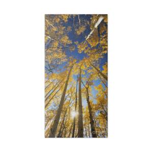 Maroon Lake and Bells 1 Bath Towel for Sale by Ron Dahlquist - Printscapes