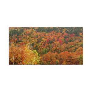 Vermont pumpkins and autumn flowers Bath Towel for Sale by Jeff Folger