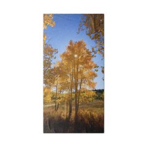 Aspen Tree Canopy 2 Bath Towel for Sale by Ron Dahlquist - Printscapes