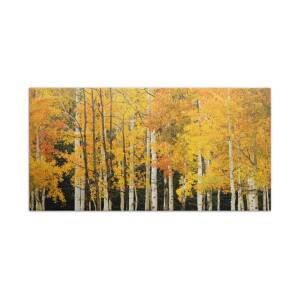 Aspen Tree Canopy 2 Bath Towel for Sale by Ron Dahlquist - Printscapes