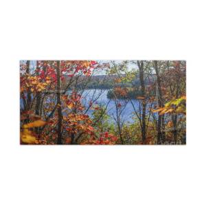Forest reflecting in lake Beach Towel for Sale by Elena Elisseeva