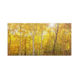 Downtown Telluride Beach Towel for Sale by Darren White
