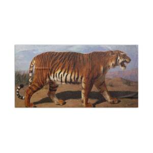 Tiger Walking Beach Sheet by Eadweard Muybridge - Fine Art America