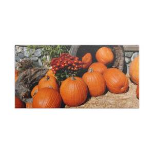 Contemporary Pumpkin- Art by Linda Woods Beach Towel for Sale by Linda ...
