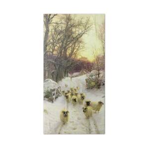 Snow Covered Fields with Sheep Beach Towel for Sale by Joseph Farquharson