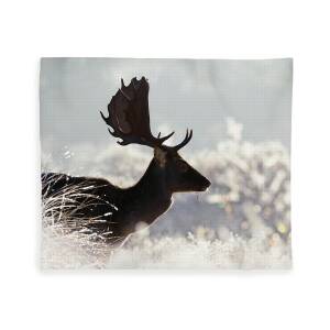 Sky On Fire - Fallow Deer Silhouette Fleece Blanket for Sale by ...