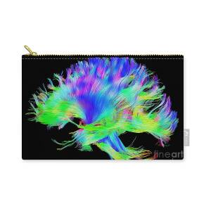 Illustration Of Eye Anatomy Carry-all Pouch for Sale by Science Source