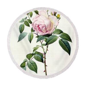 Rosa Indica Vulgaris Round Beach Towel for Sale by Pierre Joseph Redoute