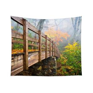 Blue Ridge Parkway Fall Foliage - The Light Tapestry for Sale by Dave Allen