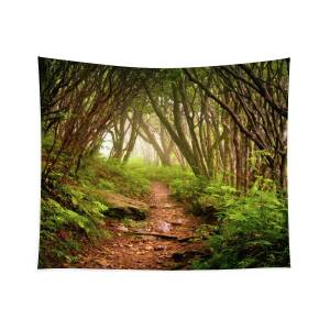 Blue Ridge Parkway North Carolina Mountains Gods Country Tapestry for ...