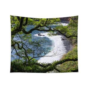 Rainforest Path Tapestry for Sale by Chad Dutson