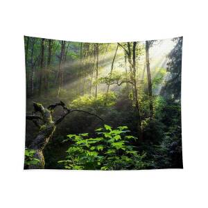Saturated Forest Tapestry for Sale by Chad Dutson