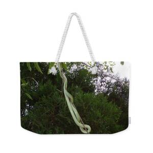 Tiny Forming Wild Texas Muscadine Grapes-two Weekender Tote Bag by Joney  Jackson - Fine Art America