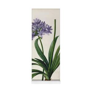 Purple Irises Yoga Mat for Sale by Claude Monet