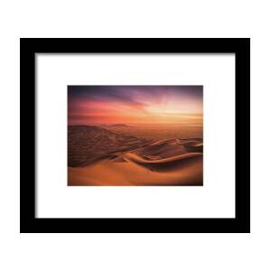 Desert Life Framed Print by Zachar Rise