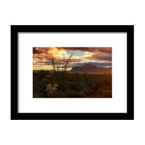 A Sonoran Desert Sunrise Framed Print by Saija Lehtonen