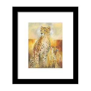 African Cheetah Framed Print by Christiaan Bekker